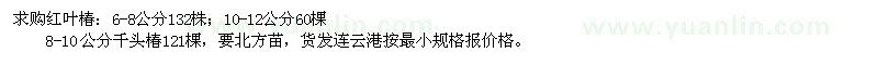 求購(gòu)紅葉椿、千頭椿