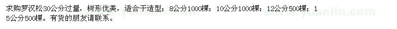 求購羅漢松30公分過量