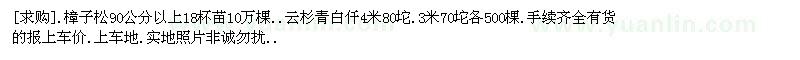 求購樟子松90公分以上18杯苗云杉青白仟