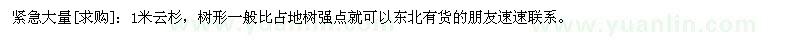 求購(gòu)1米云杉