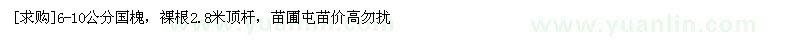 求購(gòu)6-10公分國(guó)槐，裸根2.8米頂桿