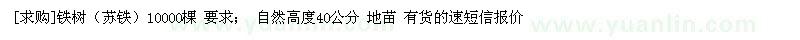 求購鐵樹（蘇鐵）10000棵