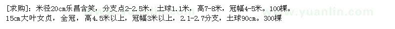 求購米徑20cm樂昌含笑、15cm大葉女貞