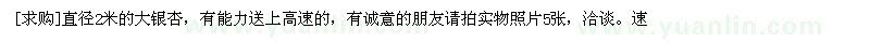 求購直徑2米的大銀杏