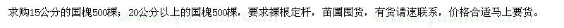 求購國槐