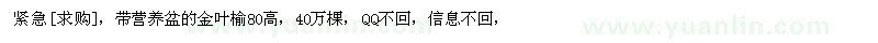 求購帶營養(yǎng)盆的金葉榆80高，40萬棵