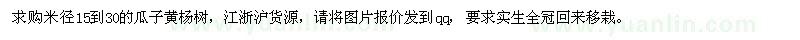 求購瓜子黃楊樹