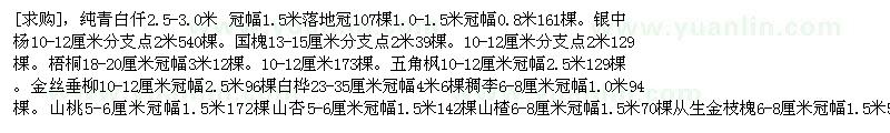 求購純青白仟。銀中楊。國槐