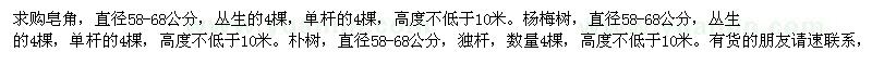 求購皂角、楊梅樹、樸樹