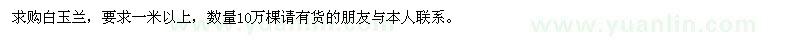 求購白玉蘭 