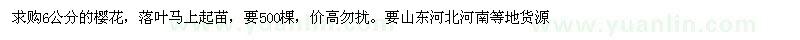求購(gòu)6公分的櫻花