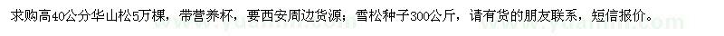 求購高40公分華山松，雪松種子