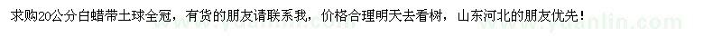 求購(gòu)20公分白蠟