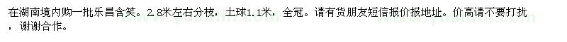 求購一批樂昌含笑。2.8米左右分枝，土球1.1米，全冠