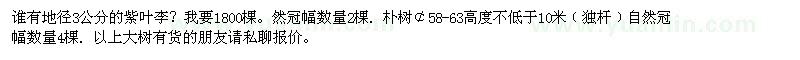 求購(gòu)3公分的紫葉李