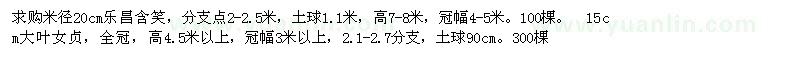 求購(gòu)大葉女貞　樂(lè)昌含笑