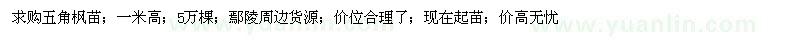 求購五角楓苗