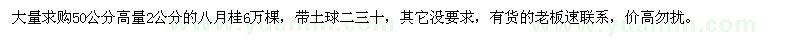 求購50公分高量2公分的八月桂6萬棵