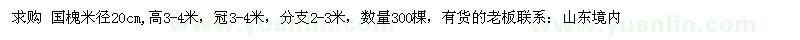 求購國槐米徑20cm