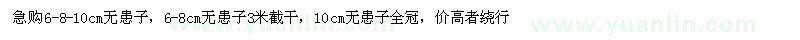 求購急購6-8-10cm無患子