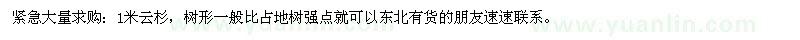 求購大量1米云杉 