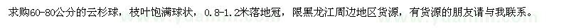 求購(gòu)60-80公分的云杉球