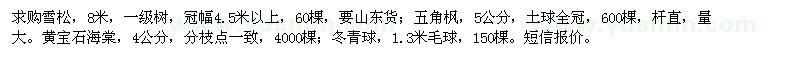 求購雪松、五角楓、黃寶石海棠、冬青球