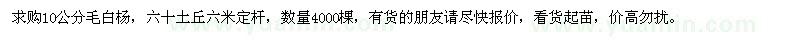 求購10公分毛白揚(yáng)