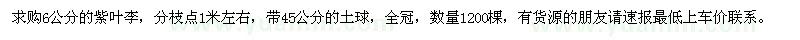 求購(gòu)紫葉李