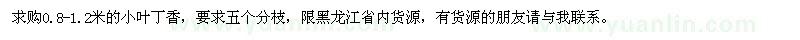求購0.8-1.2米的小葉丁香
