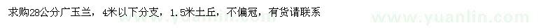 求購28公分廣玉蘭