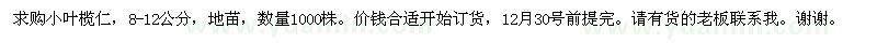 求購8-12公分小葉欖仁