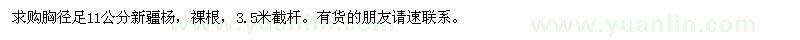 求購(gòu)胸徑足11公分新疆楊