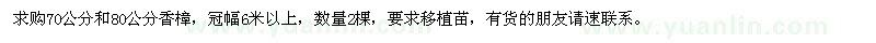 求購70公分和80公分香樟2棵