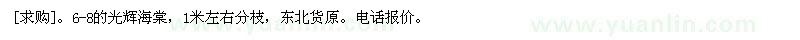 求購(gòu)6-8的光輝海棠，1米左右分枝