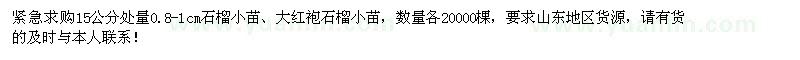 求購0.8-1cm石榴、大紅袍石榴各20000棵