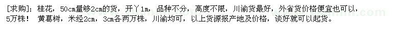 求購桂花，50cm量夠2cm的貨，黃葛樹