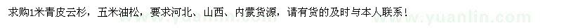 求購1米青皮云杉、五米油松 