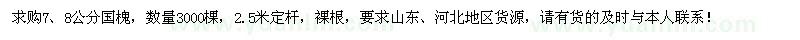 求購7、8公分國槐3000棵