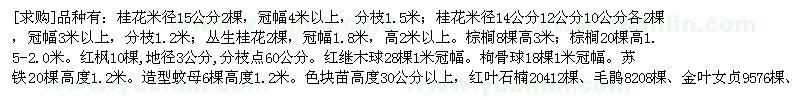 求購(gòu)品種有：桂花；叢生桂花。棕櫚