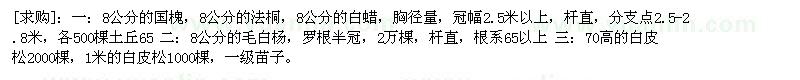 求購國槐，法桐，白蠟 毛白楊