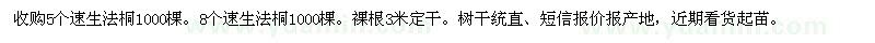 求購5個速生法桐1000棵。8個速生法桐1000棵