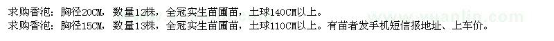 求購香泡