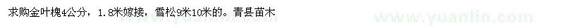 求購金葉槐4公分 