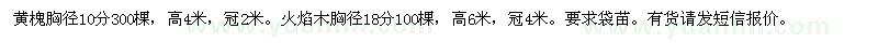 求購黃槐，火焰木