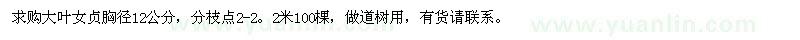 求購大葉女貞胸徑12公分