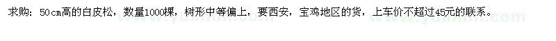 求購(gòu)50cm高的白皮松