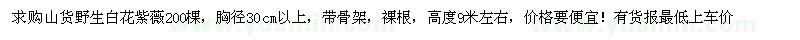 求購山貨野生白花紫薇