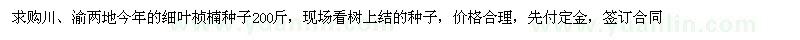 求購川、渝兩地今年的細(xì)葉楨楠種子