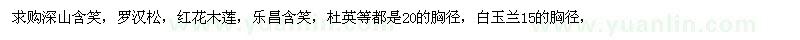 求購深山含笑，羅漢松，紅花木蓮，樂昌含笑，杜英，白玉蘭